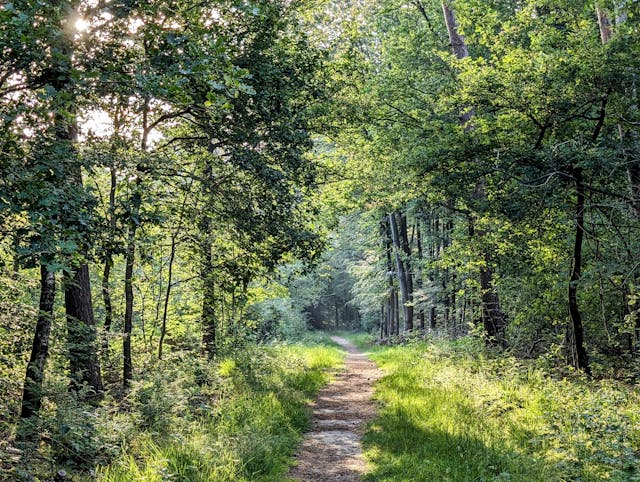Vakantiehuisje Veluwe