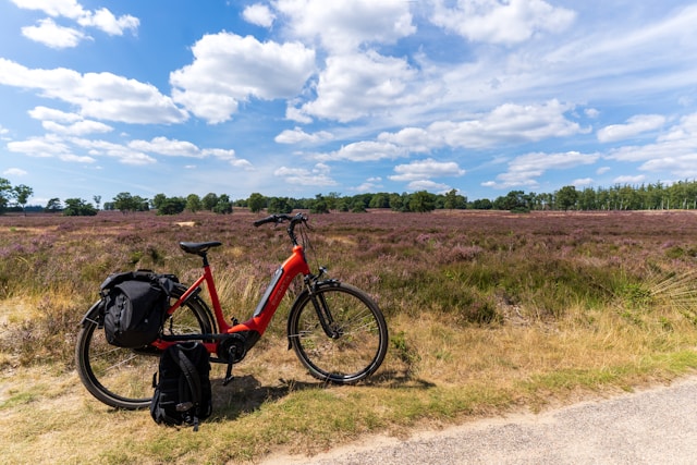 Veluwse natuur verblijf